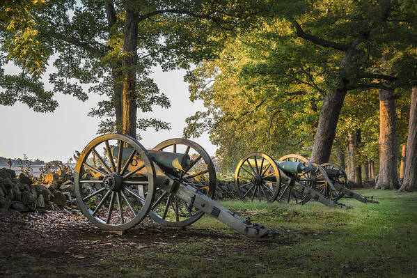 Landscape Poster featuring the photograph Morning Sentinel by Andy Smetzer