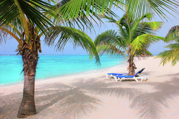 Grand Cayman Poster featuring the photograph Morning Shade by Iryna Goodall