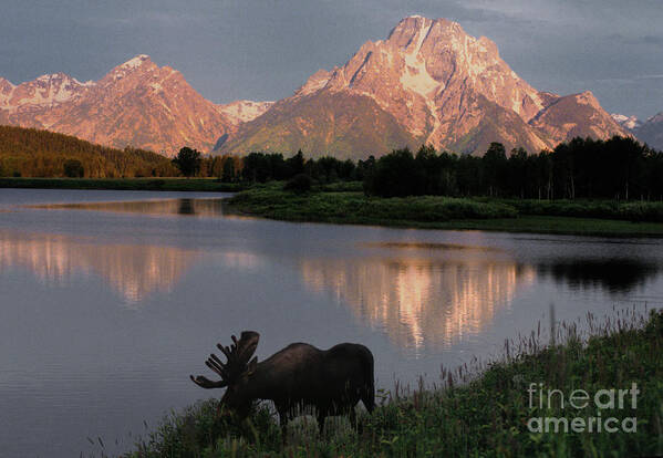 Grand Teton Poster featuring the photograph Morning Tranquility by Sandra Bronstein