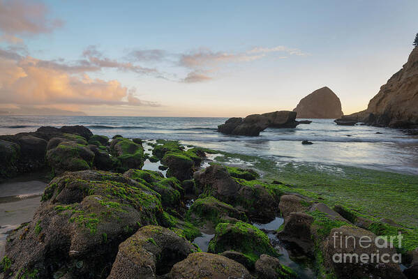 Oregon Coast Poster featuring the photograph Mossy rocks at the beach by Paul Quinn