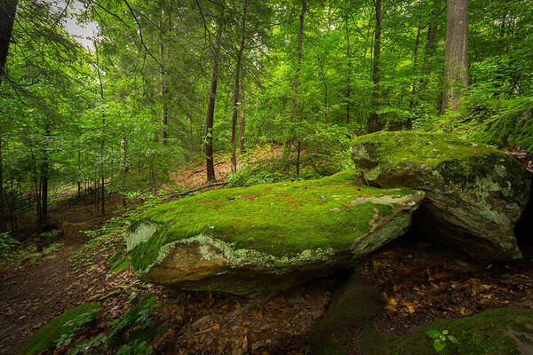 Moss Poster featuring the photograph Mossy Rocks In Little Creek Park by Shane Holsclaw