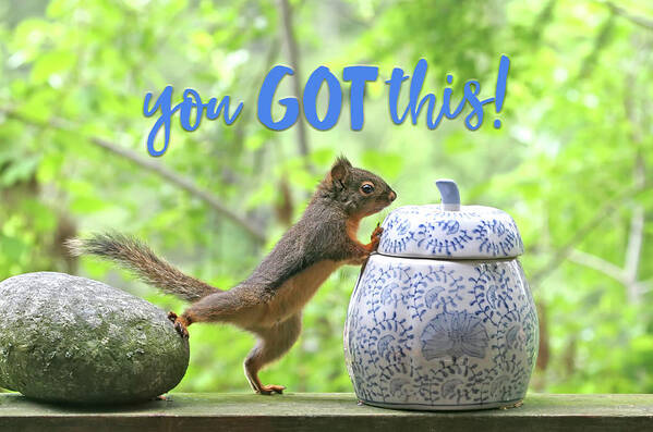 Squirrel Poster featuring the photograph Motivational Squirrel - You Got This by Peggy Collins