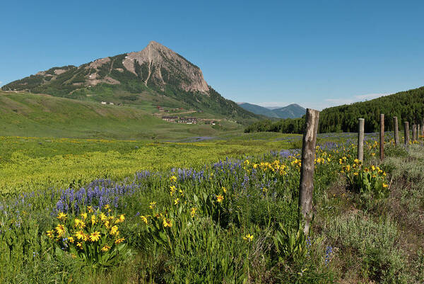 Mount Crested Butte Poster featuring the photograph Mount Crested Butte Early Evening Summer by Cascade Colors