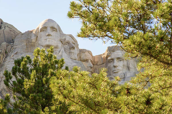America Poster featuring the photograph Mount Rushmore Framed with Trees 2 by AMB Fine Art Photography