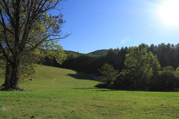 Meadow Poster featuring the photograph Mountain Meadow by Karen Ruhl