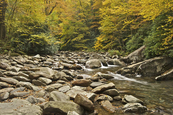 Tennessee Poster featuring the photograph Mountain Stream 6058 by Michael Peychich