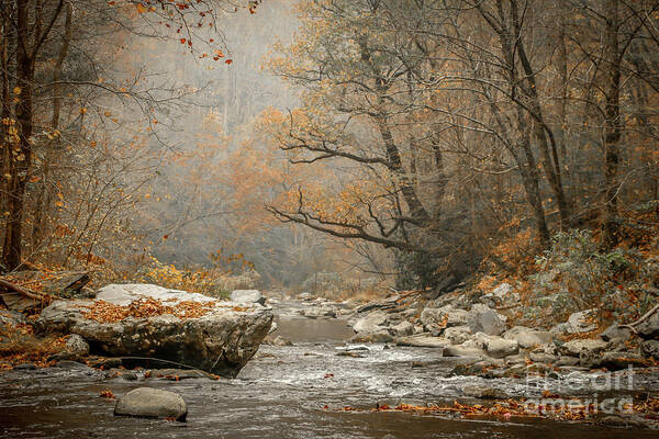 Mountain Poster featuring the photograph Mountain Stream in Fall #2 by Tom Claud