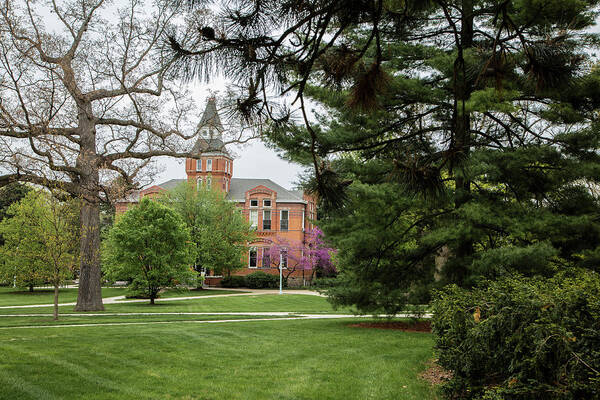 Michigan State University Poster featuring the photograph MSU Campus Spring by John McGraw