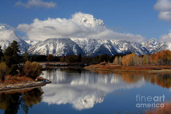 Ox Bow Bend Poster featuring the photograph Mt Moran by Edward R Wisell