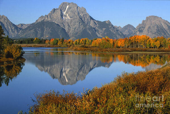 Grand Teton Poster featuring the photograph Mt. Moran Fall Reflection by Sandra Bronstein