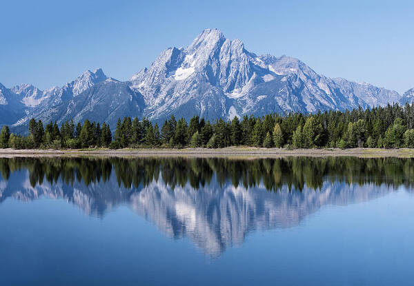 Mountain Poster featuring the photograph Mt. Moran Grand Tetons by William Bitman