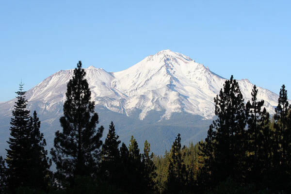 Mt.shasta Poster featuring the photograph Mt. Shasta - Her Majesty by Holly Ethan