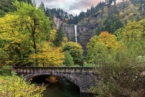 Multnomah Falls Poster featuring the photograph Multnomah Falls along Old Columbia Highway by David Gn