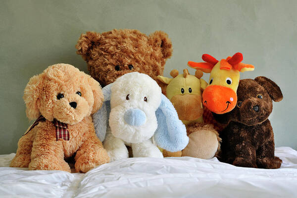 Stuffed Animals Poster featuring the photograph My Best Friends by Luke Moore