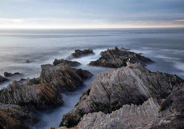 California Poster featuring the photograph Mystical Moment by Cheryl Strahl