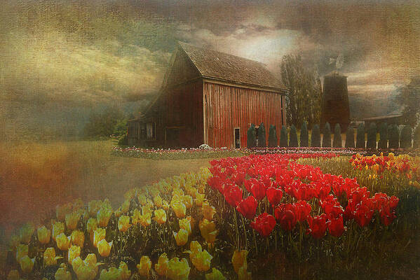 Skagit Valley Poster featuring the photograph Mythical tulip farm by Jeff Burgess