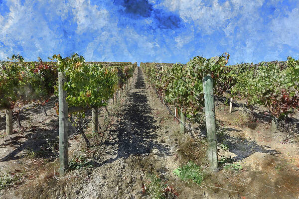 Green Poster featuring the photograph Napa Valley Vineyard - Rows of Grapes by Brandon Bourdages