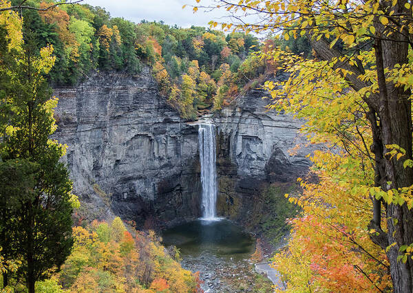 Taughannock Falls Poster featuring the photograph Nature's Heartbeat by Mindy Musick King