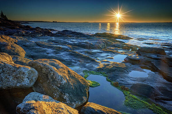 Muscongus Bay Poster featuring the photograph New Beginnings on Muscongus Bay by Rick Berk