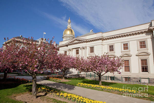 New Jersey Poster featuring the photograph New Jersey State Capitol Building in Trenton by Anthony Totah