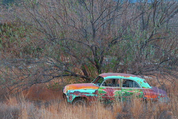 Abandoned Car Poster featuring the photograph New Mexico Blue by Carolyn D'Alessandro