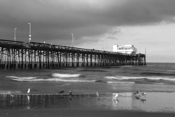 California Poster featuring the photograph Newport Pier by Eric Foltz