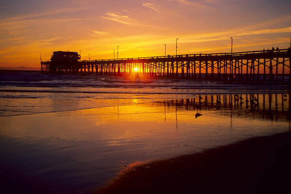 California Poster featuring the photograph Newport Pier Sunset by Eric Foltz