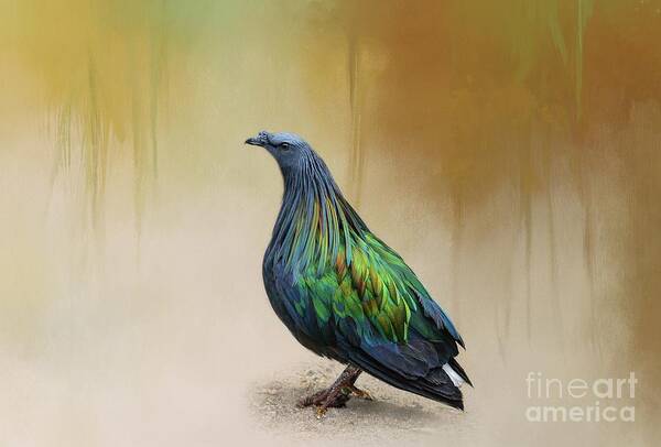 Nicobar Pigeon Poster featuring the photograph Nicobar Pigeon by Eva Lechner