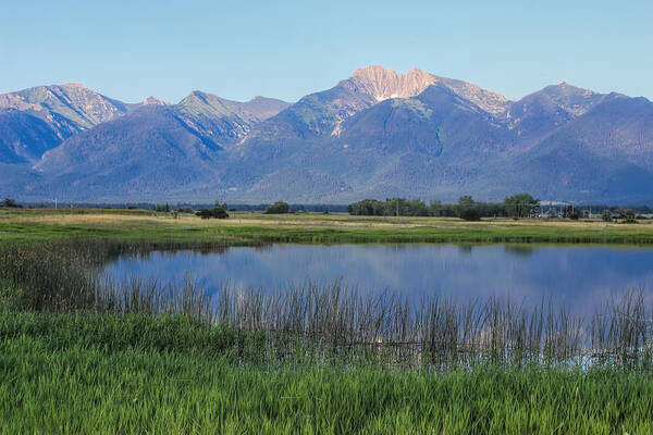 Montana Poster featuring the photograph Ninepipes National Wildlife Refuge by Cathy Anderson