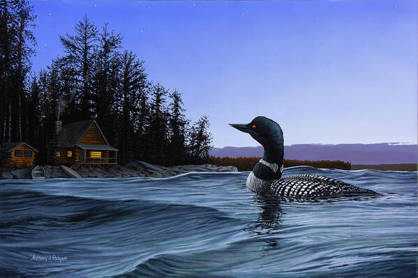 Loon Poster featuring the painting North Shore Lodge by Anthony J Padgett