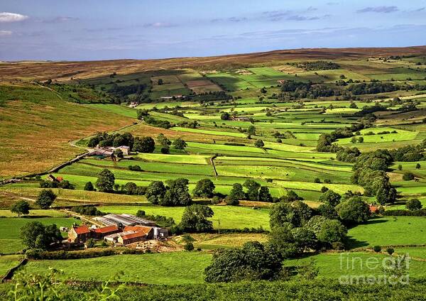 Yorkshire Landscape Poster featuring the photograph North York Moors countryside by Martyn Arnold