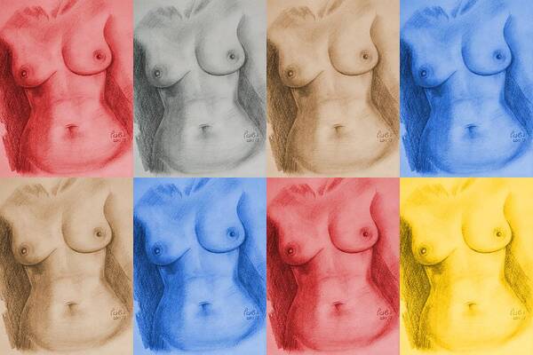 Female Poster featuring the drawing Nude Female Torso - PPSFN-0002-Montage-03 by Pat Bullen-Whatling