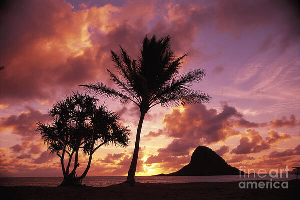 Beach Poster featuring the photograph Oahu, MokoliI Island by Greg Vaughn - Printscapes