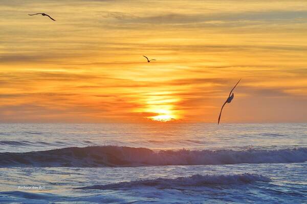 Obx Sunrise Poster featuring the photograph Coquina Beach by Barbara Ann Bell