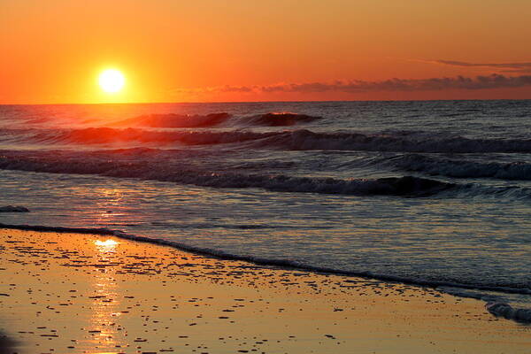Ocean Poster featuring the photograph OC Sunrise by Suzanne DeGeorge