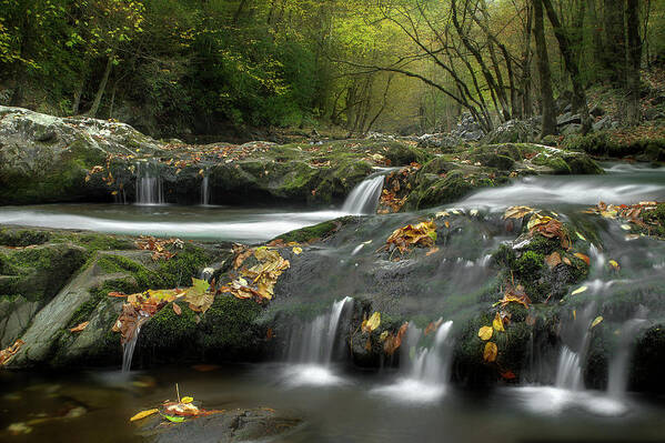 Smoky Mountain Stream Poster featuring the photograph October In The Smokies by Michael Eingle