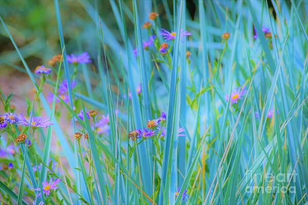 Grass Poster featuring the photograph Oh Yes by Merle Grenz