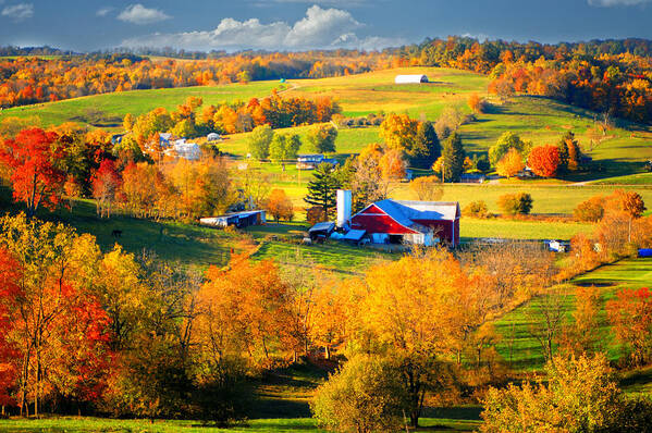 Fall Poster featuring the photograph Ohio Amish Country by Mary Timman