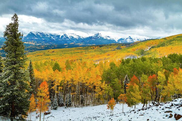 Aspen Trees Poster featuring the photograph Ohio Pass Road in Full Fall Color and Snow by Teri Virbickis