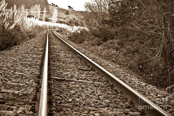 Bushes Poster featuring the photograph Old abundant railway by Yurix Sardinelly