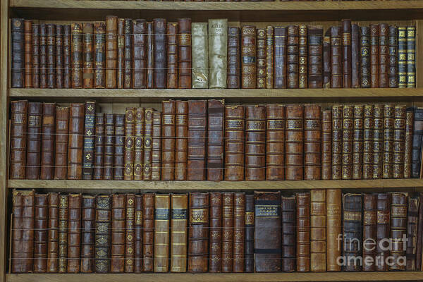 Book Poster featuring the photograph Old books by Patricia Hofmeester