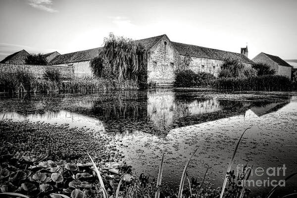 France Poster featuring the photograph Old Farm and Pond in France by Olivier Le Queinec