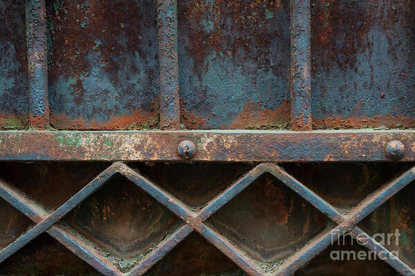 Gate Poster featuring the photograph Old metal gate detail by Elena Elisseeva