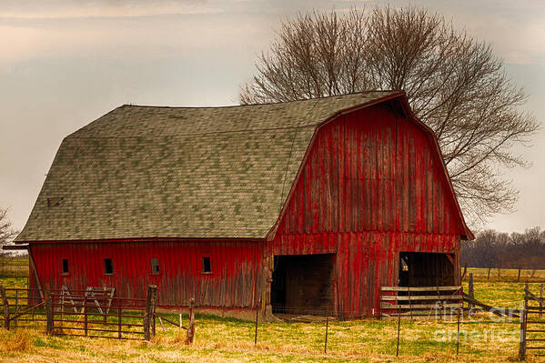 Farm Poster featuring the photograph Old Red Barn by Terri Morris