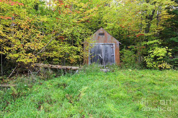 Autumn Poster featuring the photograph Old Shed - Carroll, New Hampshire by Erin Paul Donovan