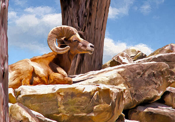 Ram Poster featuring the painting On the Rocks by Rick Mosher