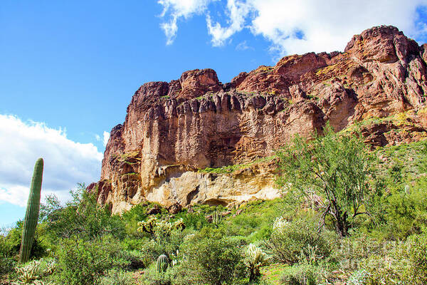 Onward And Upward Poster featuring the photograph Onward and Upward at the Superstition Mountains of Arizona by Amy Sorvillo