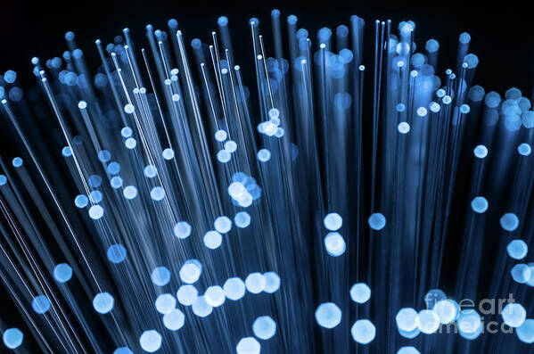 Optic Poster featuring the photograph Optic Fiber by Carlos Caetano