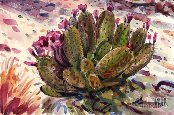 Opuntia Cactus Poster featuring the painting Opuntia Cactus by Donald Maier