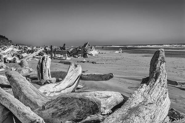 Black & White Poster featuring the photograph Oregon Beach Driftwood by Mark Peavy